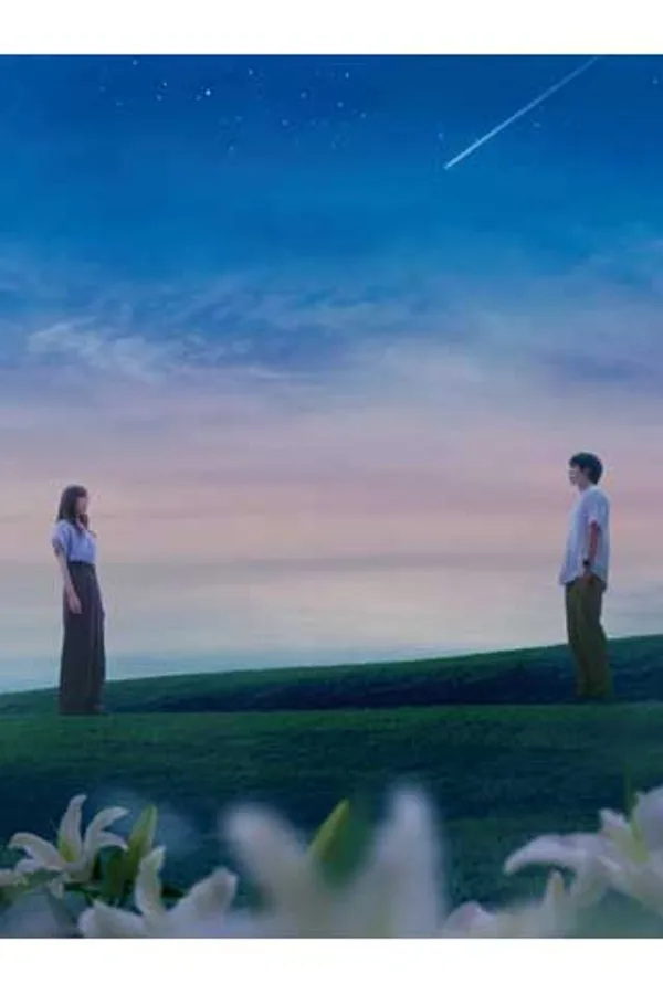 あの星が降る丘で、君とまた出会いたい。